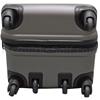 Big Max iGuard Travel Case  Titanium